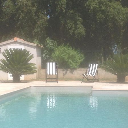 Cavone 2 Apartment Castellare-di-Casinca Exterior photo