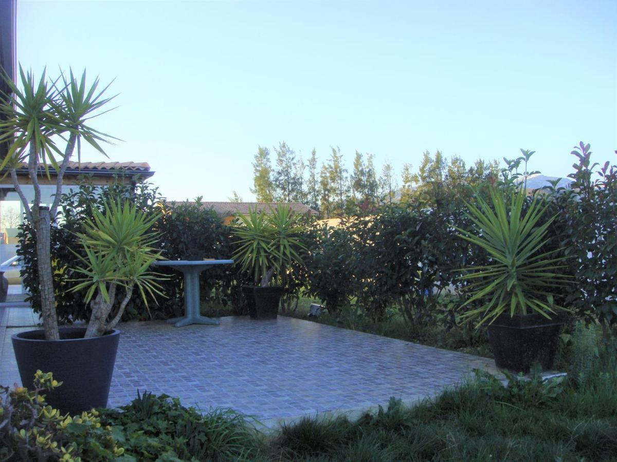 Cavone 2 Apartment Castellare-di-Casinca Exterior photo